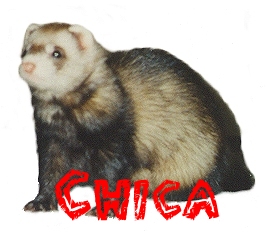 Chica